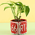 Red Potted Money Plant