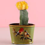 Ceramic Potted Moon Cactus
