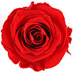 Forever Red Rose Chocolatey Basket