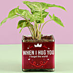 Hug Day Syngonium Green Plant
