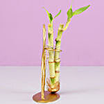 Bamboo Sticks In Leaf Frame