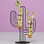 Bamboo Sticks In Quirky Cactus Frame
