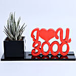 I Love You 3000 Haworthia Zebra Plant