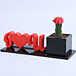 I Love You Red Moon Cactus Plant
