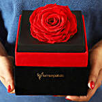 Big Forever Red Rose in Black Velvet Box
