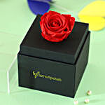 Red Forever Rose in Black Box