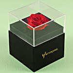 Red Forever Rose in Black Box