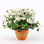 Bunch of Artificial White Daisies
