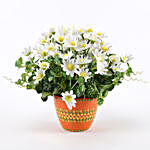 Bunch of Artificial White Daisies