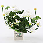 White Artificial Flowers In Go Green Pot