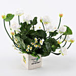 White Artificial Flowers In Go Green Pot