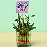 2 Layer Bamboo Plant For Women's Day