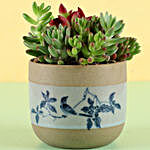 Succulents Dish Garden In Brown Ceramic Pot