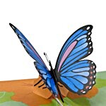 Blue Butterfly Pop Up 3D Greeting Card