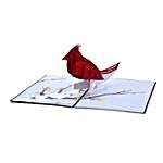 Cardinal Bird Pop Up 3D Greeting Card