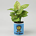 Personalised Syngonium Plant For Dad