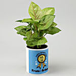 Personalised Syngonium Plant For Dad