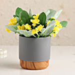 Artificial Yellow Lavenders In Grey Pot