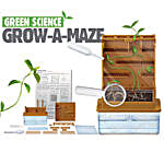 DIY Learning Grow A Plant Kit for Kids