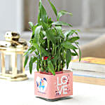 Love Special 2 Layer Bamboo Plant