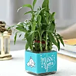 Two Layer Bamboo Plant In Miss You Vase