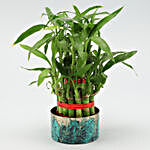 2 Layer Bamboo Plant In Metal Pot