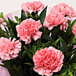 Beautiful 8 Pink Carnations Bouquet
