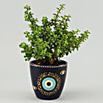 Jade Plant in Hand painted Evil Eye Planter