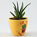 Mini Aloe Vera Plant in Hand painted Planter