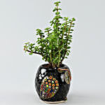Adorable Jade Plant in Hand painted Owl Planter