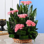 Pink Carnations Cane Basket Arrangement