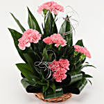Pink Carnations Cane Basket Arrangement
