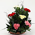 18 Mixed Carnations Cane Basket Arrangement