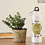 Jade Plant & Personalised Bottle