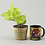 Money Plant & Personalised Black Mug