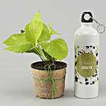 Money Plant & Personalised Bottle