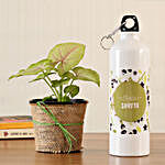 Syngonium Plant & Personalised Bottle