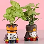 Syngonium Plant in King and Queen Resin Pot