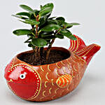 Ficus Compacta In Hand-painted Fish Planter
