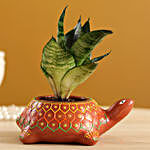 Green Sansevieria In Hand-painted Turtle Planter