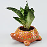 Green Sansevieria In Hand-painted Turtle Planter