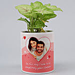 Syngonium Plant In Personalised White Planter