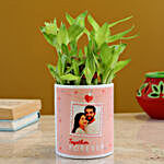 Two Layer Lucky Bamboo In Personalised Planter