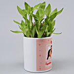 Two Layer Lucky Bamboo In Personalised Planter