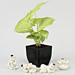 Beautiful Syngonium Plant With Baby Buddha Figurines