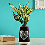 Red Aglaonema Plant In Ceramic Love Pot