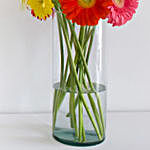 Cheerful Gerbera Blossoms Vase
