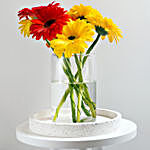 Welcoming Gerbera Blossom Vase