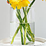 Welcoming Gerbera Blossom Vase