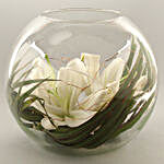 White Oriental Lilies In Fish Bowl
